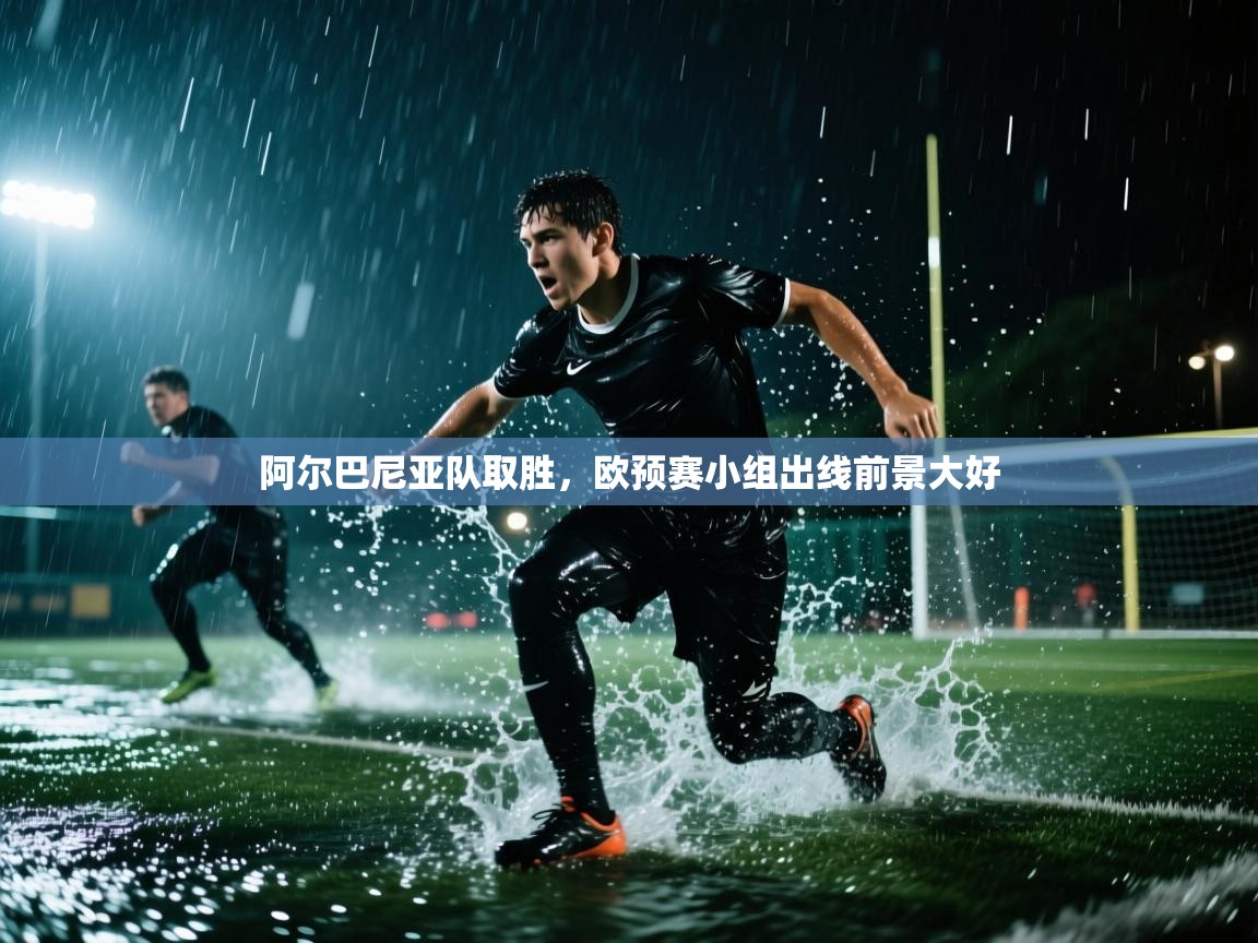 阿尔巴尼亚队取胜，欧预赛小组出线前景大好  第1张