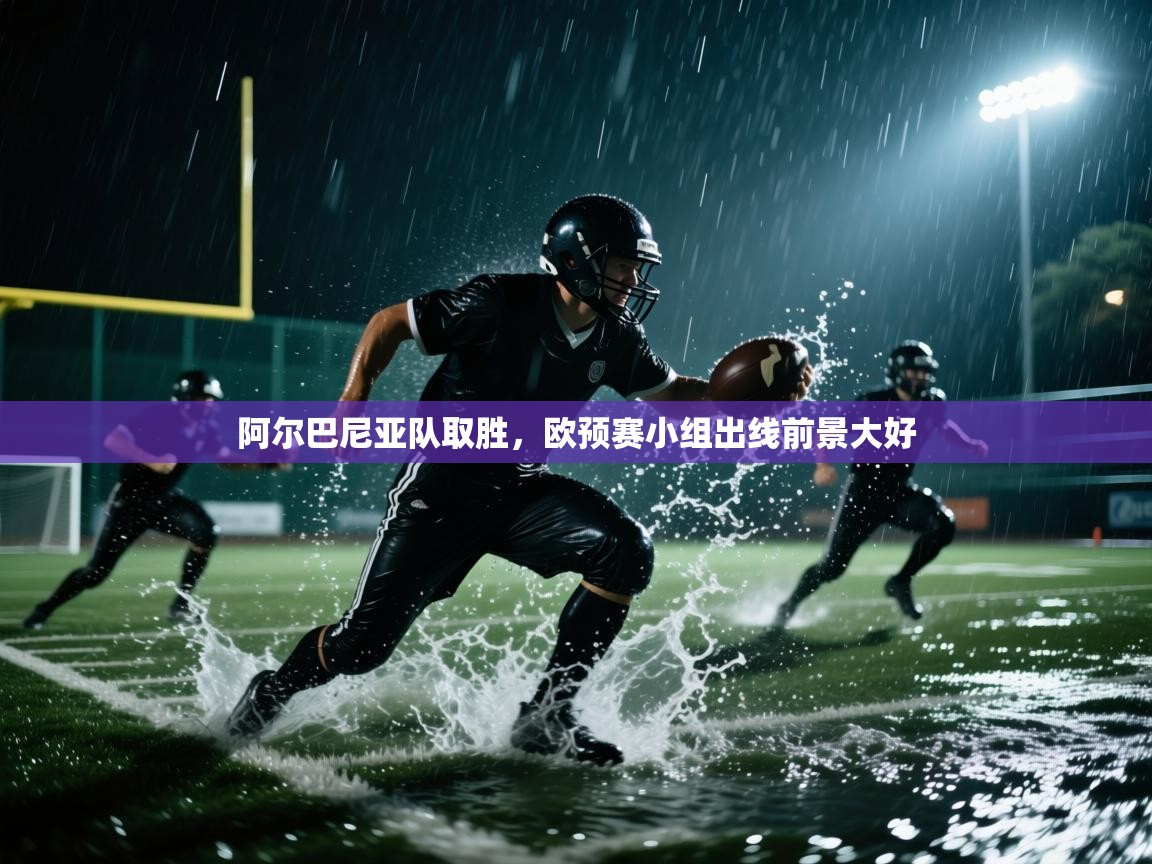 阿尔巴尼亚队取胜，欧预赛小组出线前景大好  第2张