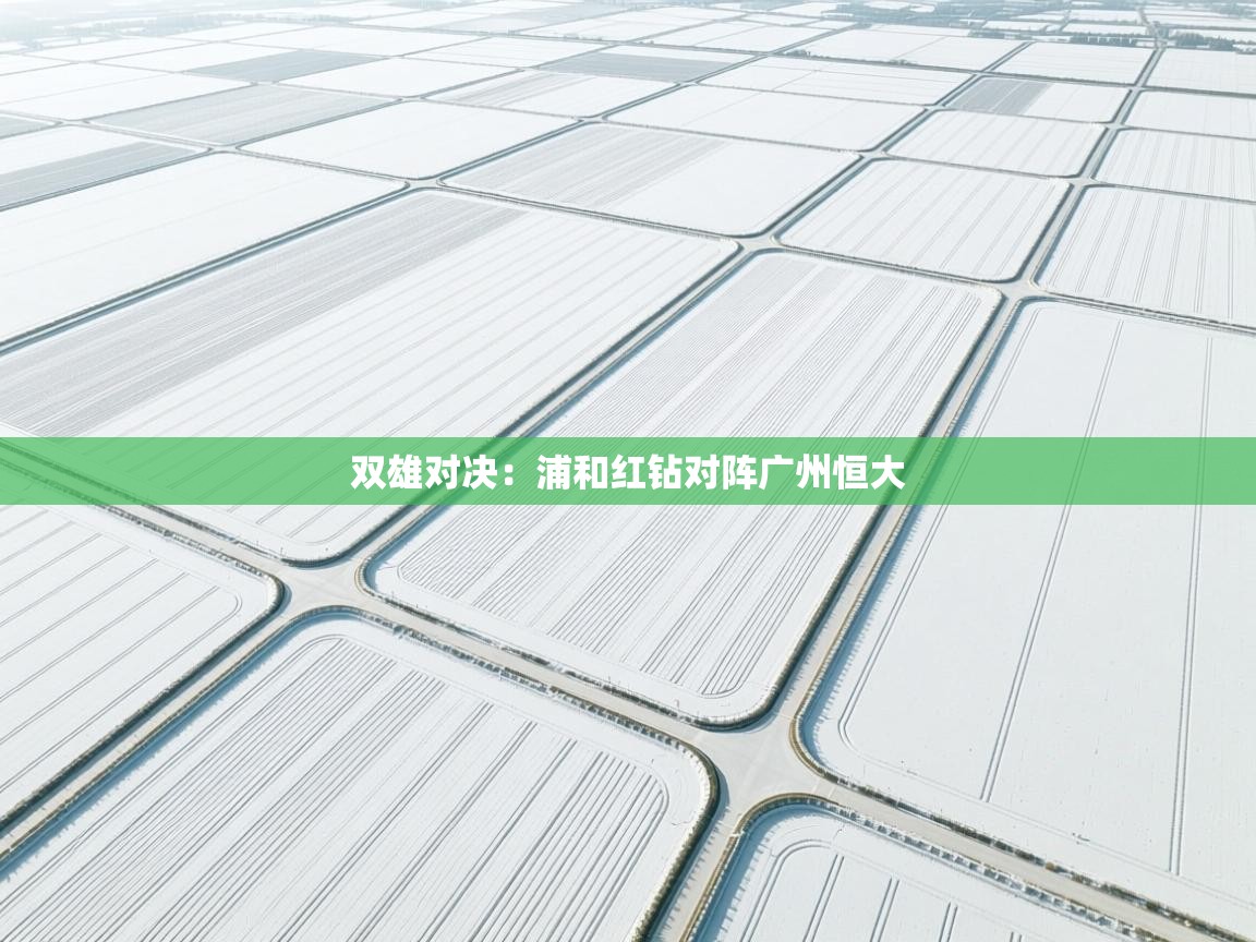 双雄对决：浦和红钻对阵广州恒大  第1张