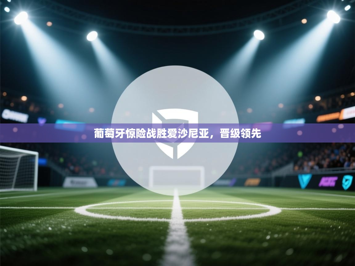 葡萄牙惊险战胜爱沙尼亚,晋级领先 第1张